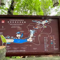評論圖片 3
