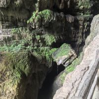 評論圖片 9