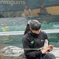 評論圖片 2