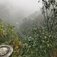 評論圖片 3