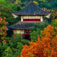 評論圖片 4