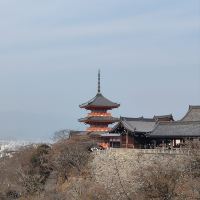 評論圖片 2