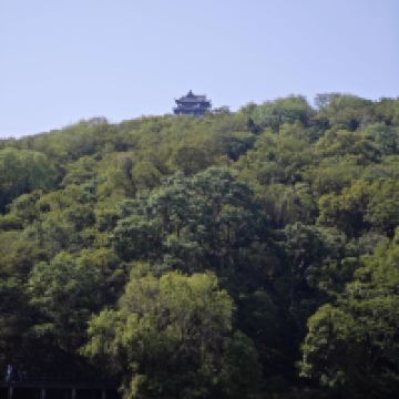 評論圖片 3