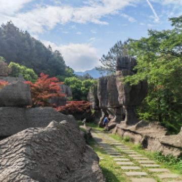 評論圖片 5