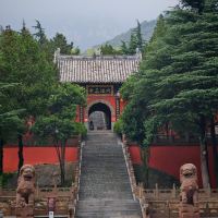 評論圖片 6