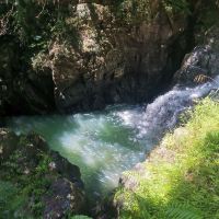 評論圖片 7