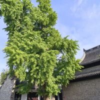 評論圖片 6