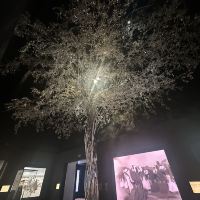 評論圖片 7