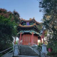 評論圖片 3