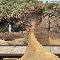 評論圖片 8