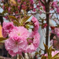 評論圖片 6