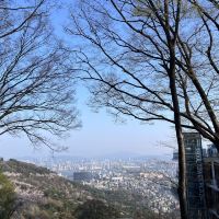 評論圖片 6