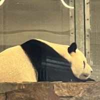 評論圖片 2