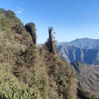 評論圖片 6