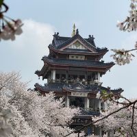 評論圖片 4