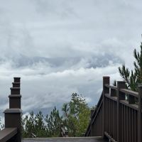 評論圖片 7