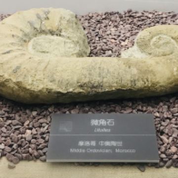 評論圖片 3