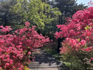 마청의 인기 가을 경치
