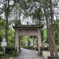 評論圖片 3