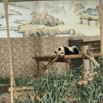 評論圖片 1