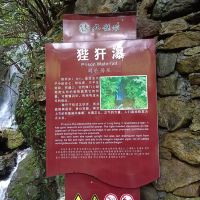 評論圖片 8