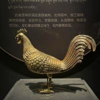 評論圖片 4