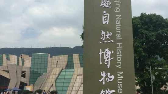 重庆自然博物馆很大，展品多，了解历史，进化史的好地方，恐龙化