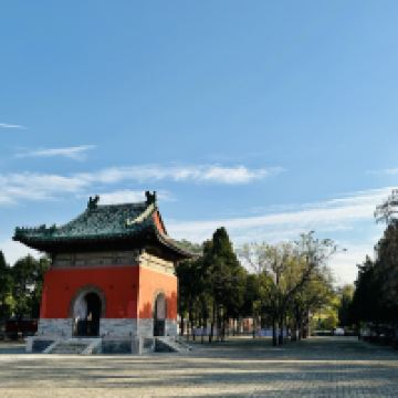 評論圖片 2