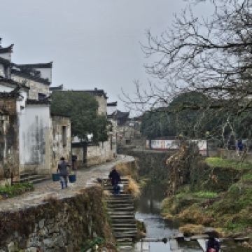 評論圖片 8