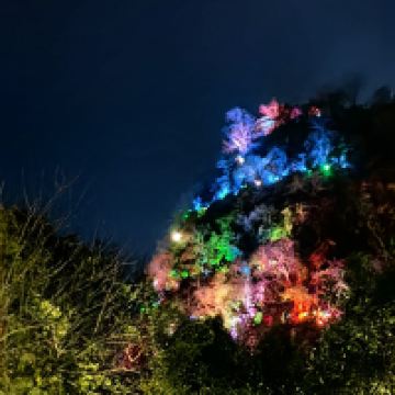 評論圖片 9