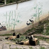 評論圖片 5