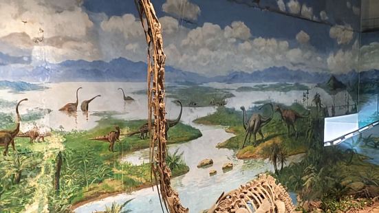自贡恐龙博物馆博物馆是在&ldquo;大山铺恐龙化石群遗址（
