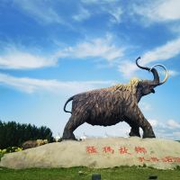 評論圖片 2