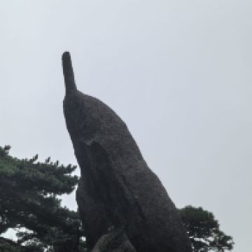 評論圖片 3