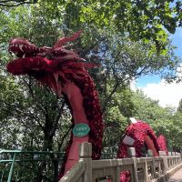 評論圖片 2