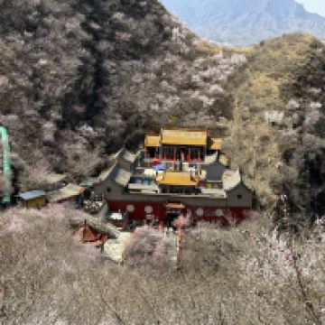 評論圖片 1