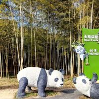 評論圖片 4