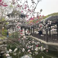 評論圖片 4