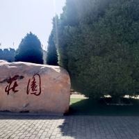 評論圖片 1