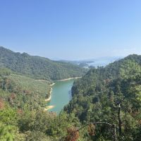 評論圖片 1