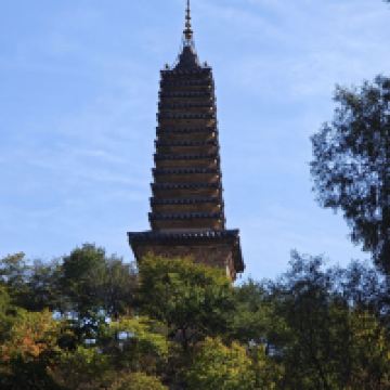 評論圖片 8