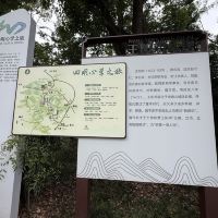評論圖片 2