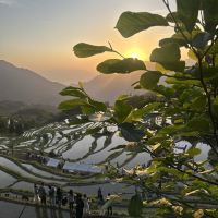 評論圖片 4