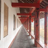 評論圖片 1