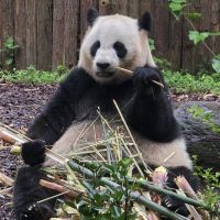 評論圖片 7