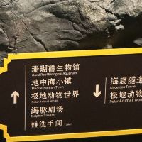 評論圖片 6