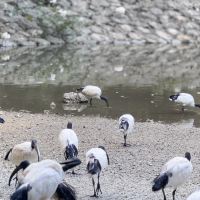 評論圖片 7
