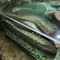 評論圖片 6