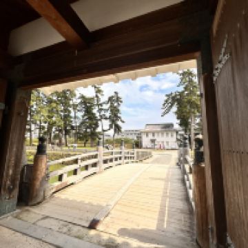 評論圖片 5