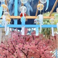 評論圖片 6
